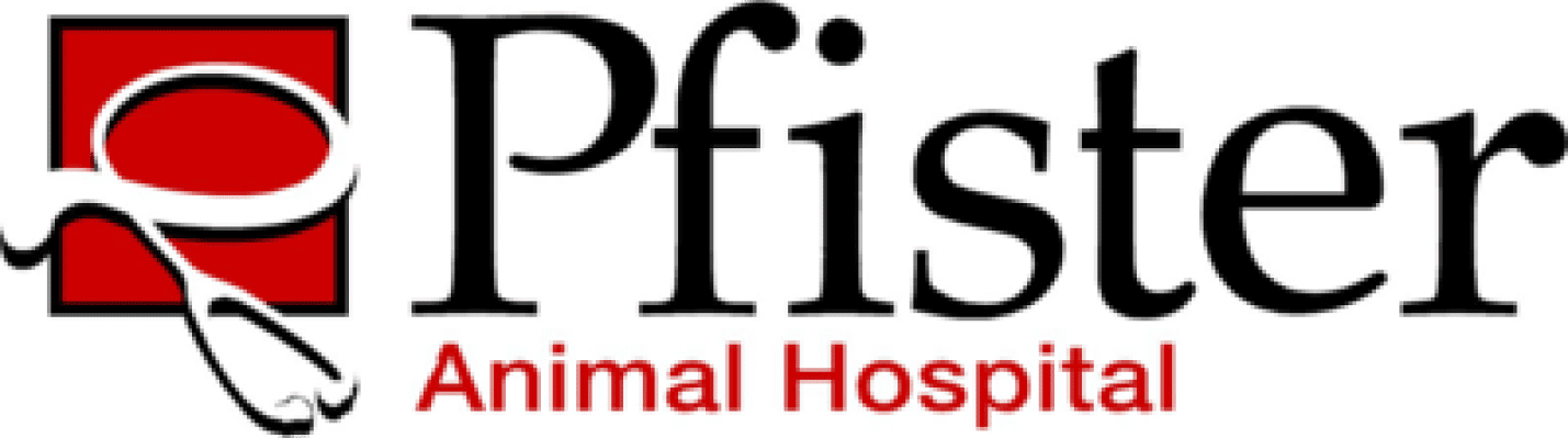 Animal Hospital in West Chester